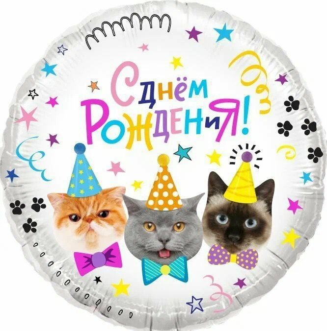 Шар (18"/46 см) Круг, Котики, С Днем Рождения! 1 шт